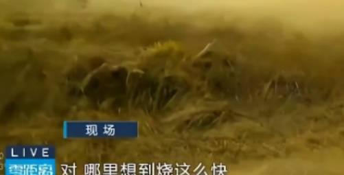 男子帶兒子體驗(yàn)烤紅薯引發(fā)火災(zāi)