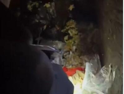 天津一垃圾桶現(xiàn)棄嬰 被拾荒大爺翻出