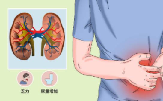 腎衰竭是什么原因引起的？