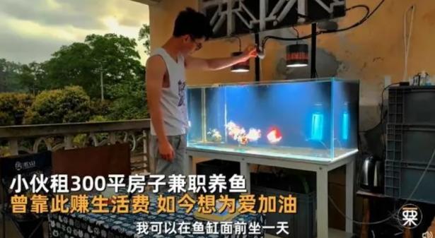 98年國企小伙兼職養(yǎng)魚 曾靠養(yǎng)魚賺生活費 目標(biāo)月入2萬