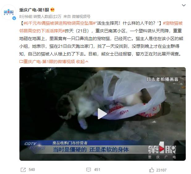 重慶巴南寵物貓高空墜落案引發(fā)公憤，貓主人報警調(diào)查展開