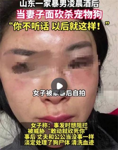 山東菏澤女性網(wǎng)友曝光家暴事件，丈夫當(dāng)眾砍死寵物犬！調(diào)查啟動，追求公正懲罰！