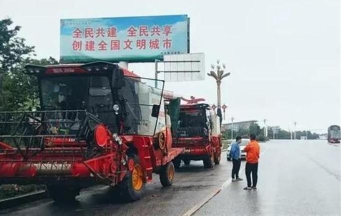 小麥?zhǔn)崭钍茏枰l(fā)疑問，南陽官方回應(yīng)解釋情況