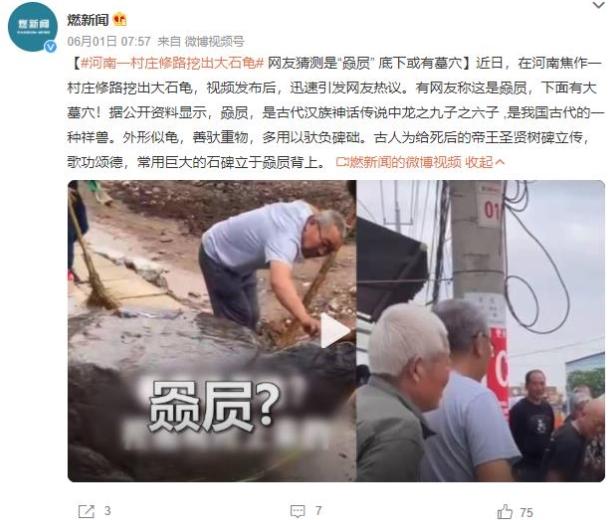 河南修路意外挖出石龜，引發(fā)熱議與古代神話相關(guān)性