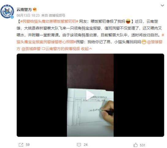 警方保護領(lǐng)角鸮寶寶：展現(xiàn)人與自然的和諧共處