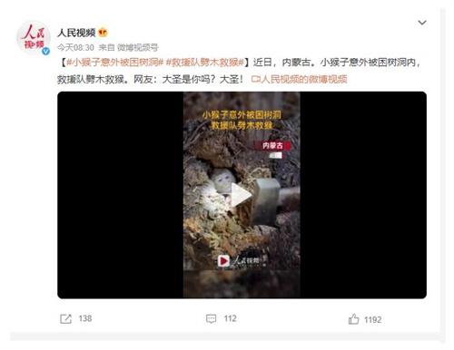 小猴子被困樹洞，救援隊伍劈木救援引起網(wǎng)友大圣聯(lián)想