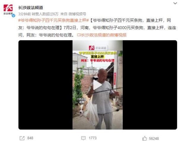 爺爺?shù)膶徤髦e：河南故事引發(fā)熱議，孫子花4000元買狗，爺爺放上秤并提問網(wǎng)友紛紛表示贊同