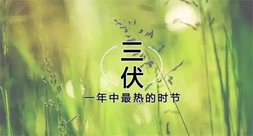 2023年“三伏天”將提前且持續(xù)加長，民眾需做好防暑準(zhǔn)備