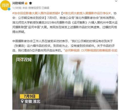 高校教授入展作品虛焦過曝被質(zhì)疑，協(xié)會回應(yīng)：公示期未收到投訴