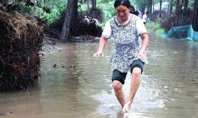 山西運(yùn)城暴雨過后市民撈魚引發(fā)關(guān)注，經(jīng)濟(jì)利益與樂趣并存