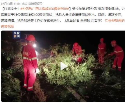 臺(tái)風(fēng)泰利襲擊廣西北海，超400棵樹倒伏，搶險(xiǎn)人員緊急清理工作展開