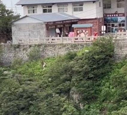 情侶吵架女方跳崖？景區(qū)回應(yīng)：女子擦傷，幸虧男朋友及時(shí)救上來