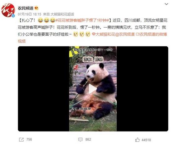 頂流女明星花花被游客喊胖子愣了1秒鐘，網(wǎng)友：扎心了！