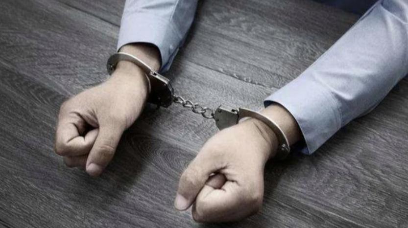 湖北醫(yī)院出生證販賣丑聞曝光：院長(zhǎng)等6人被批捕，13人被立案審查！