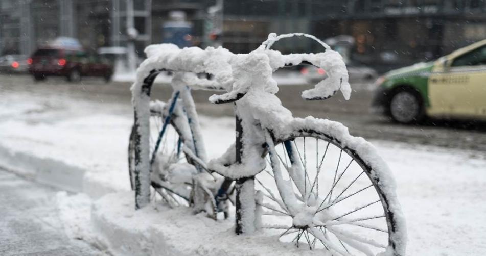 寒潮襲擊山東：雪深破紀錄，專家解讀應(yīng)對之策
