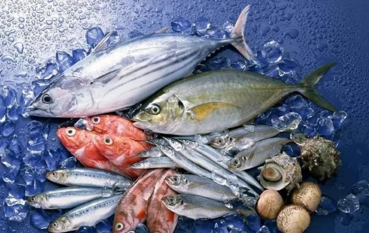 臺(tái)灣曝光：日本秋刀魚(yú)含致癌物超標(biāo)40倍，島內(nèi)網(wǎng)民憂(yōu)心食品安全
