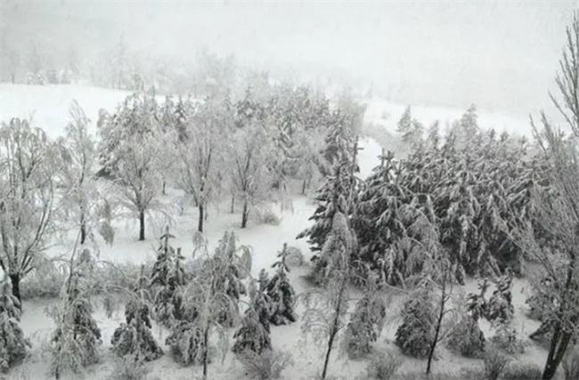 內(nèi)蒙古多倫縣突降大雪，交通受阻學(xué)校停課，氣象部門發(fā)布結(jié)冰預(yù)警